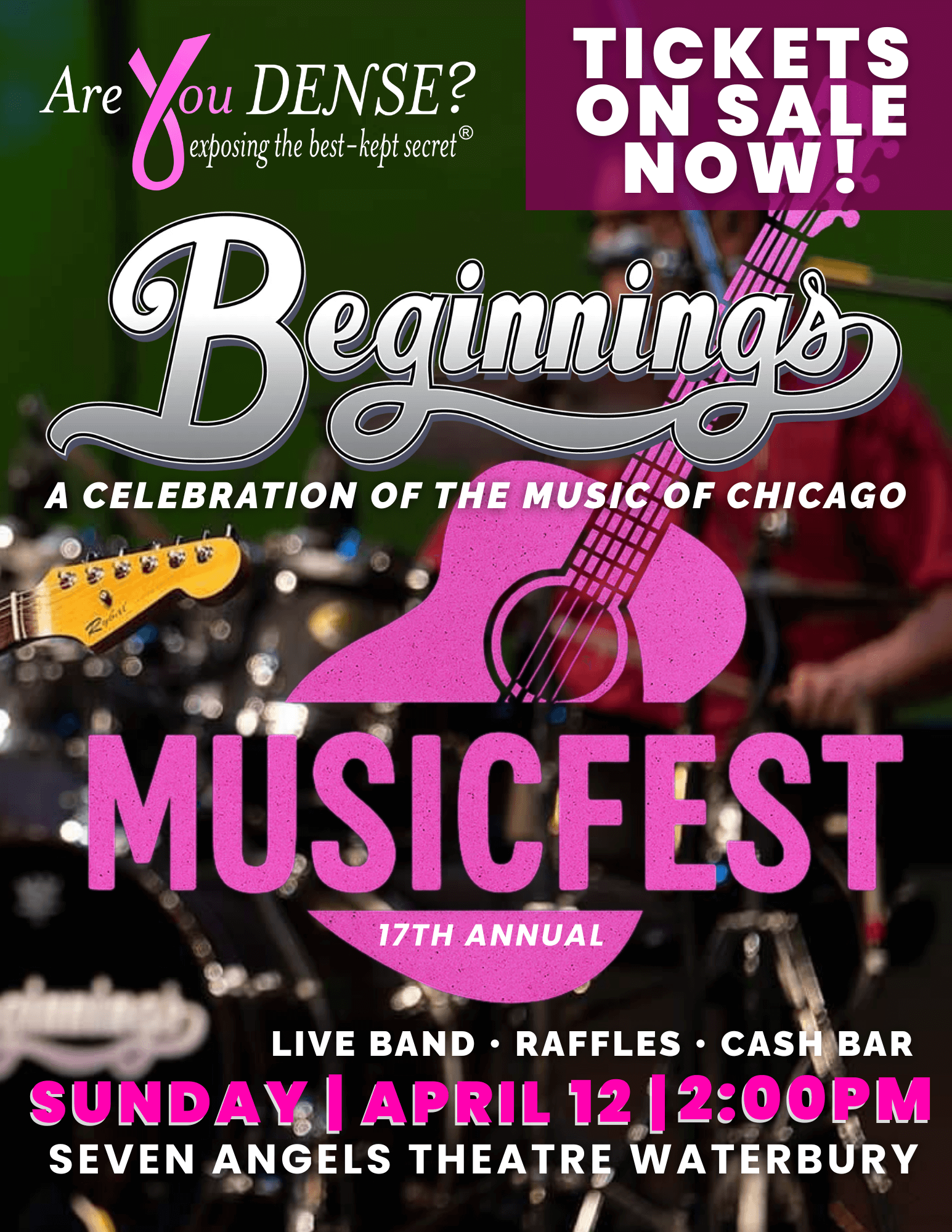 17th Annual MusicFest